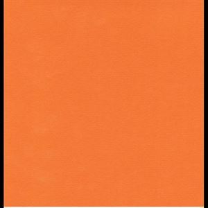 Folie Oracal 631 - 31,5 x 25 cm - 36 Light Orange
