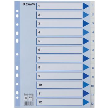 Esselte register A4 med 12 tabs i farven hvid