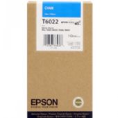 Epson Ink C13T602200 C T6022